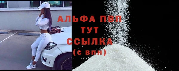 прущий лед Абаза