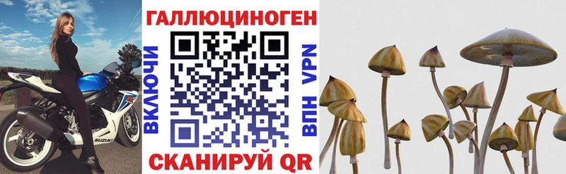 Псилоцибиновые грибы GOLDEN TEACHER  hydra как зайти  Ростов-на-Дону 