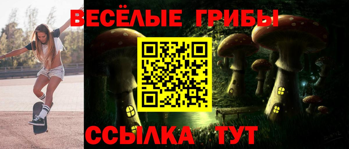 Псилоцибиновые грибы GOLDEN TEACHER  Вход с VPN  Ростов-на-Дону 